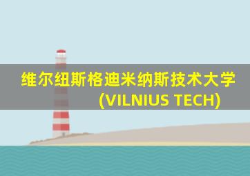 维尔纽斯格迪米纳斯技术大学(VILNIUS TECH)